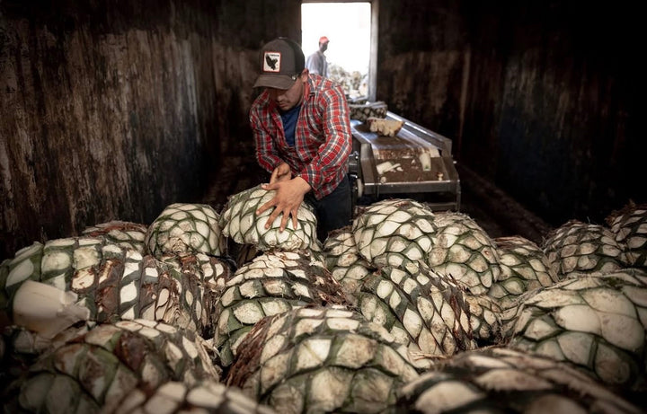 Lilia Quintero, Master Distiller at Tequila Tromba