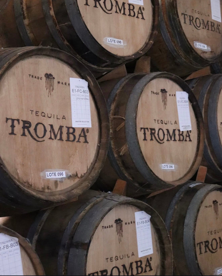 Tromba distillery worker with harvested agave piñas