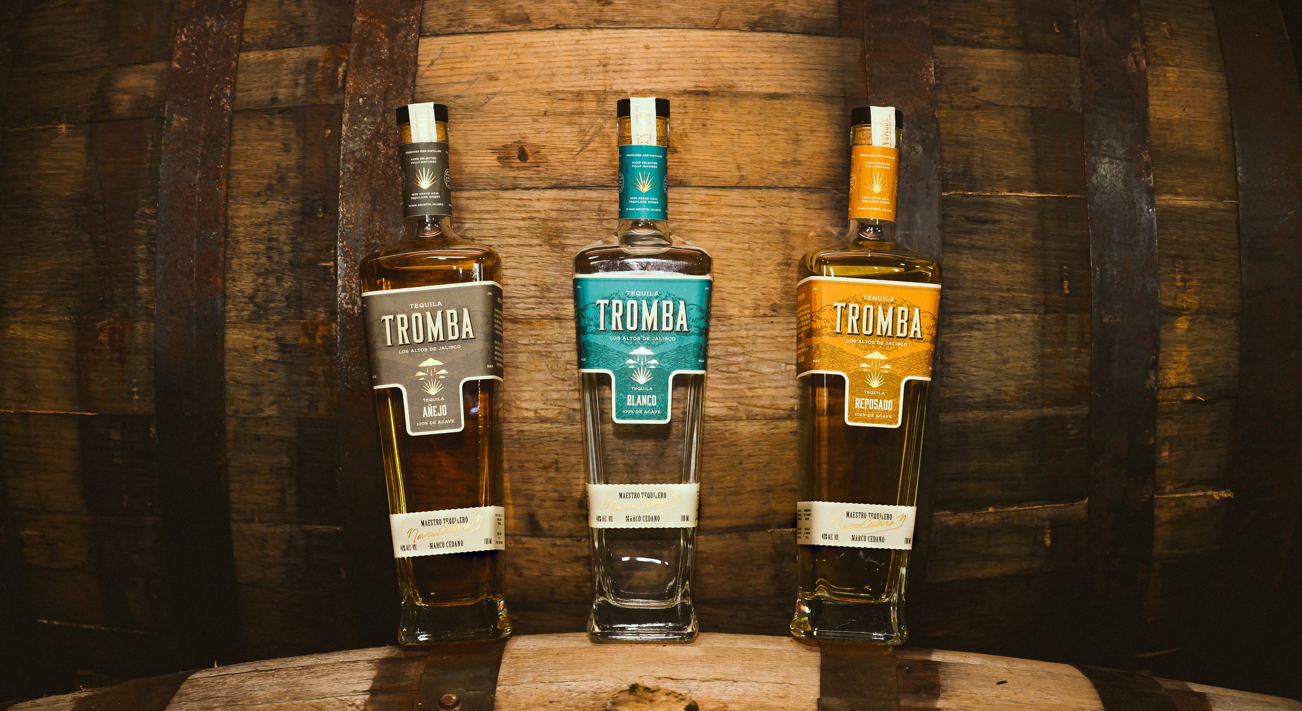 Tequila Tromba expressions among mature Blue Weber Agave