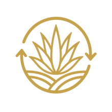 Regenerative agave fields icon