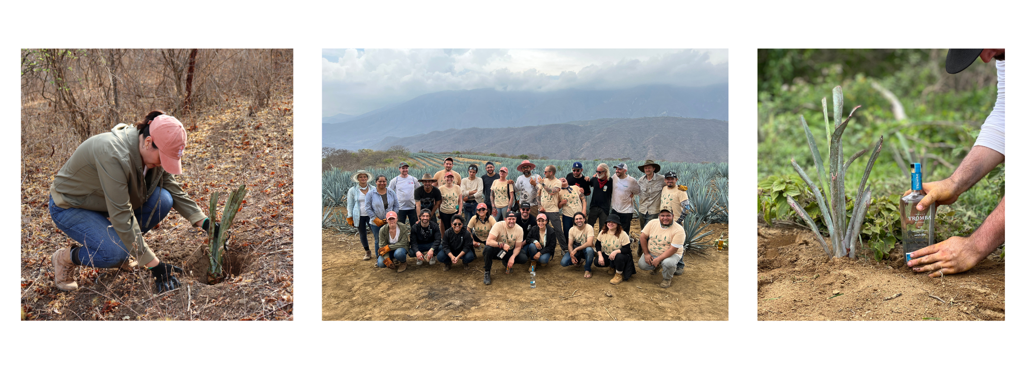 Volunteers planting endangered agaves and native trees in Jalisco