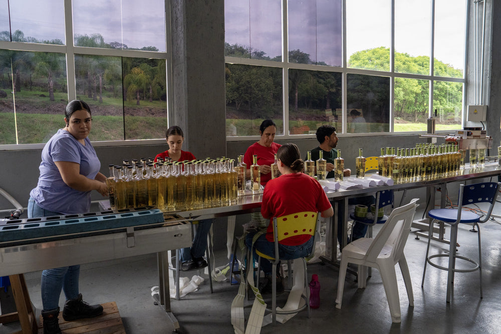 Tromba hand-bottling team preparing tequila bottles